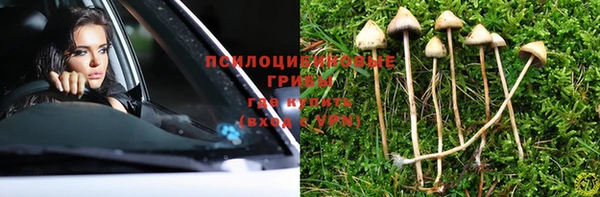 соль ск Струнино