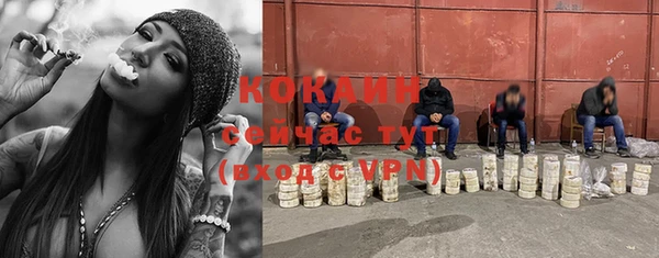 мескалин Тавда